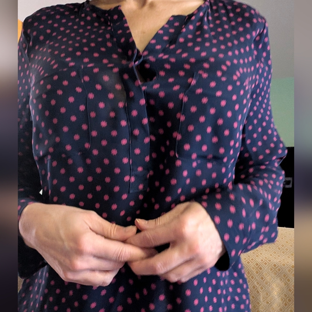 Joie Navy and Pink Polka Dot Nepal Blouse